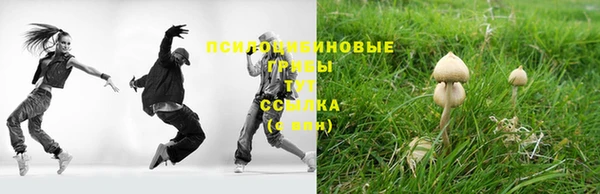 твердый Семикаракорск
