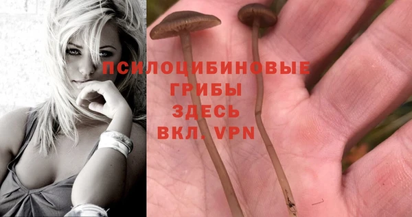 a pvp Семёнов