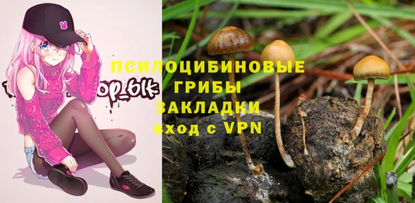 твердый Семикаракорск