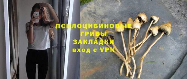 гидра Снежинск