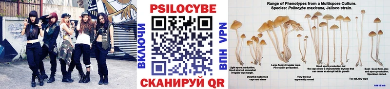 Псилоцибиновые грибы мухоморы Темников